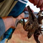 Mujer muere en Francia producto de la caza de animales