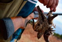 Mujer muere en Francia producto de la caza de animales Mujer muere en Francia producto de la caza de animales