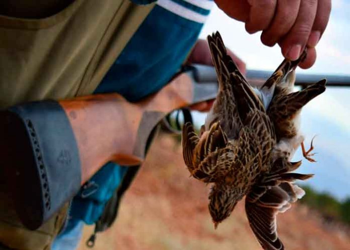 Mujer muere en Francia producto de la caza de animales