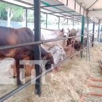Fin de semana lleno de actividades en Matagalpa con la Feria FAGROMAT Fin de semana lleno de actividades en Matagalpa con la feria FAGROMAT
