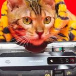 Nuevo NUBIA red magic 7