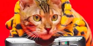 Nuevo NUBIA red magic 7