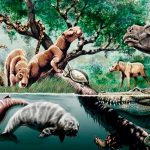 Científicos descubren increíble tesoro de fósiles de la Edad de Hielo.