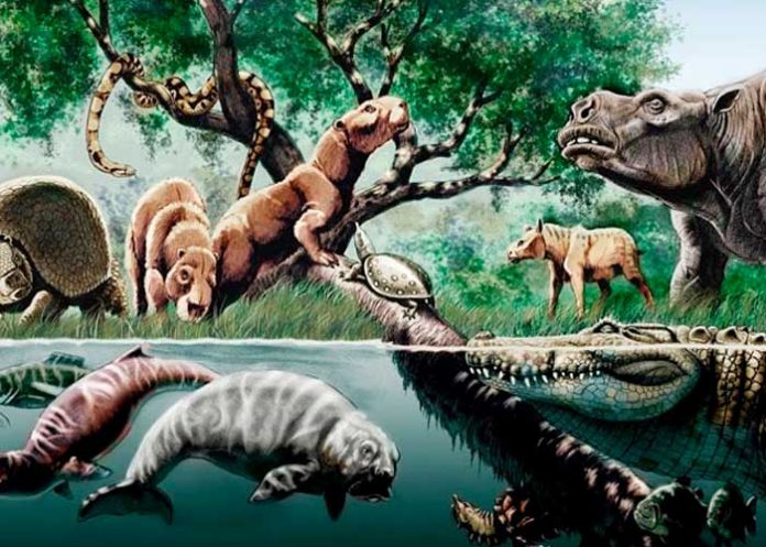 Científicos descubren increíble tesoro de fósiles de la Edad de Hielo.