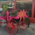 Viral en Guatemala por la manera en que llega a la iglesia (Video)