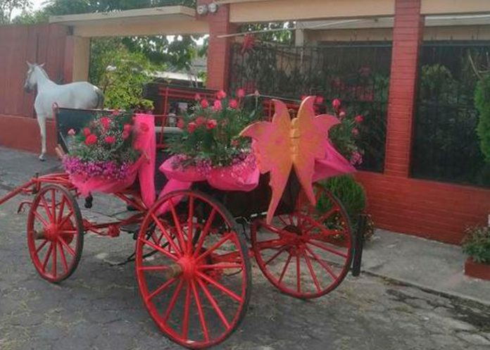 3 Viral en Guatemala por la manera en que llega a la iglesia (Video)