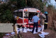 Bus se estrella contra árboles y deja lesionados en Comalapa, Chontales Bus se estrella contra árboles y deja lesionados en Comalapa, Chontales