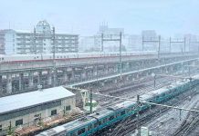 Tokio es golpeado por un fuerte temporal de nieve que deja afectaciones.