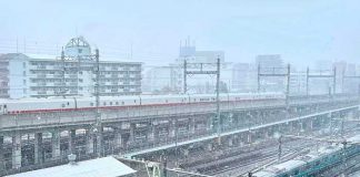 Tokio es golpeado por un fuerte temporal de nieve que deja afectaciones.