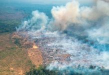 Incendios forestales en Colombia pueden ser provocados ( Video) Incendios forestales en Colombia pueden ser provocados