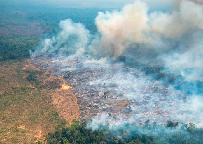 Incendios forestales en Colombia pueden ser provocados