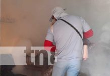MINSA realiza lucha anti epidémica en Colonia Miguel Bonilla MINSA realiza lucha anti epidémica en Colonia Miguel Bonilla