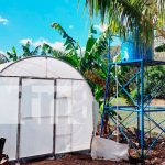 Inauguran micro túnel para producir plántulas de hortalizas en Boaco Inauguran micro túnel para producir plántulas de hortalizas en Boaco