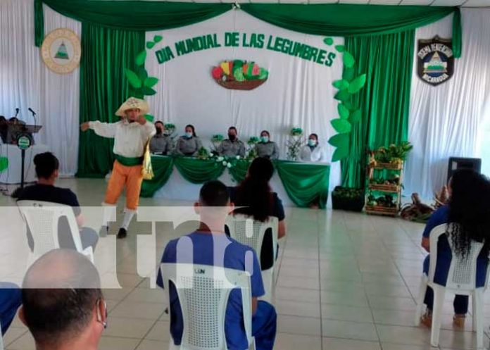 30 Conmemoran día mundial de las legumbres en Tipitapa