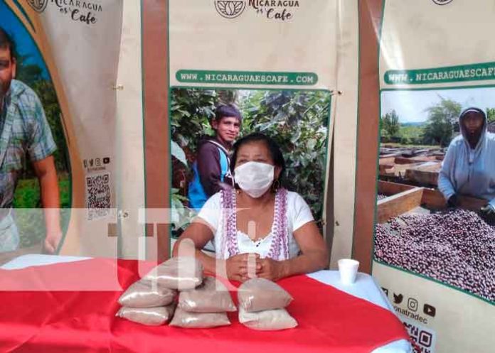 feria de café en Granada