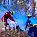 Estrategia para prevenir afectaciones en recursos naturales en Nueva Segovia Estrategia para prevenir afectaciones en recursos naturales en Nueva Segovia