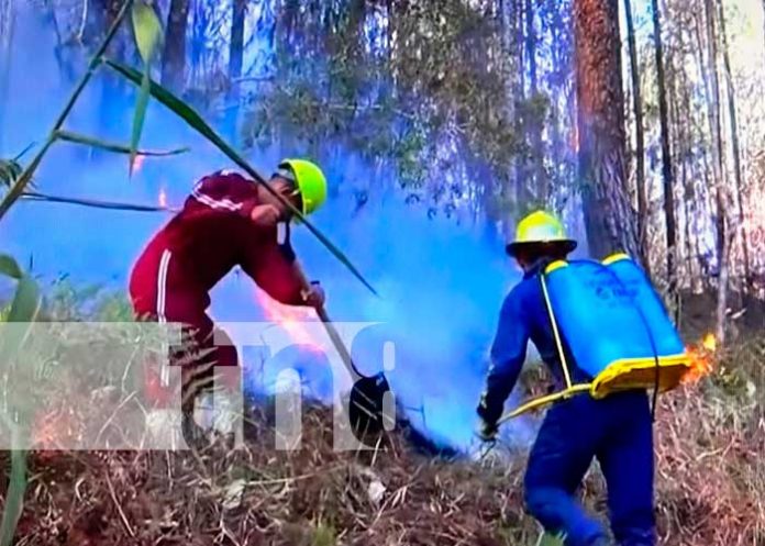 Estrategia para prevenir afectaciones en recursos naturales en Nueva Segovia
