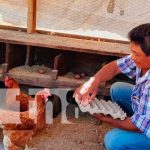 MEFCCA continúa inaugurando granjas avícolas en Nandaime