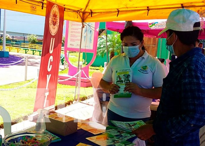 Feria de becas de Universidades de Nicaragua