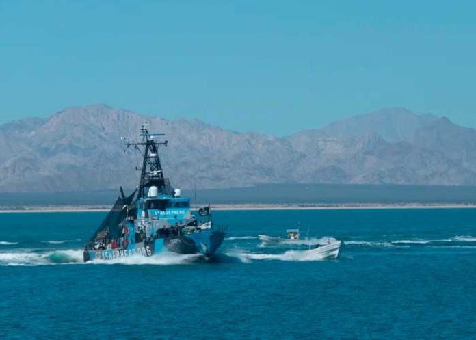 Estados Unidos prohíbe la entrada a los barcos pesqueros mexicanos