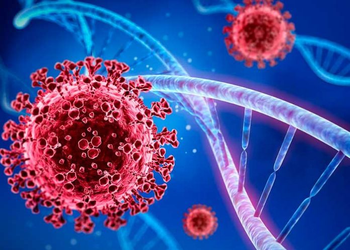 5.4 OMS recomienda a países ricos aportar al plan internacional anticovid