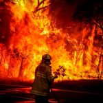 Devastadores incendios forestales en Australia Devastadores incendios forestales en Australia