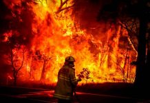 Devastadores incendios forestales en Australia