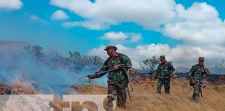 Incendio no pasa a más gracias a la intervención de las autoridades