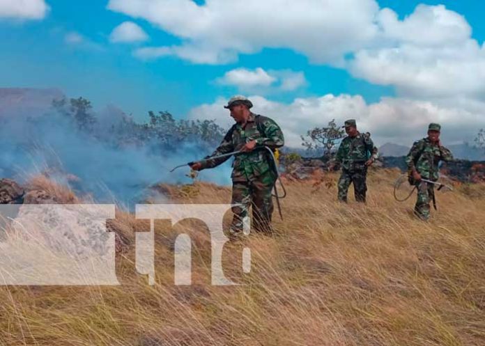 Incendio no pasa a más gracias a la intervención de las autoridades