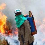 Incendio forestal de 500 hectáreas ocurrido en España Incendio forestal en España