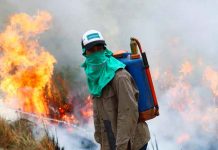 Incendio forestal de 500 hectáreas ocurrido en España Incendio forestal en España