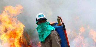 Incendio forestal en España