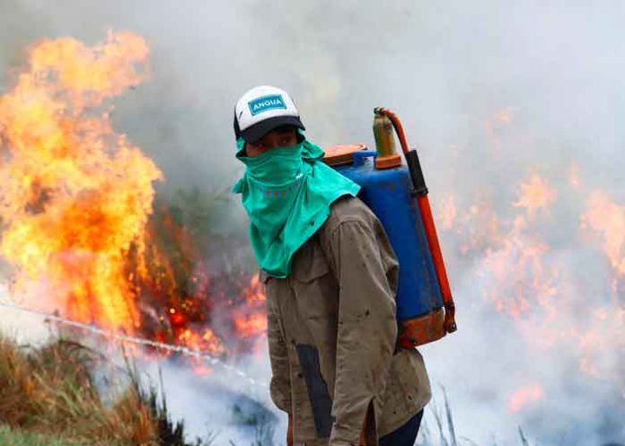 Incendio forestal en España