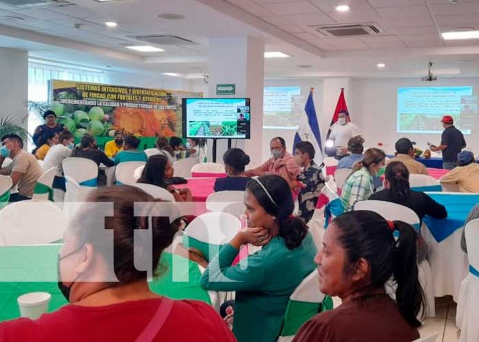 Capacitan a productores de cítricos en municipios del corredor seco