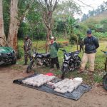 Ejército de Nicaragua realiza incautación de droga al narcotráfico Ejército de Nicaragua realiza incautación de droga al narcotráfico