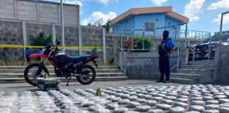 Tenaz operativo dejó la incautación de 310 kilos de marihuana en Managua