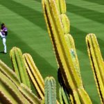 colorado, spring, training, liga, cactus, mlb,