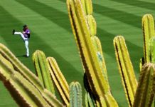 colorado, spring, training, liga, cactus, mlb,
