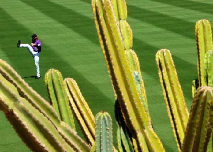 colorado, spring, training, liga, cactus, mlb,