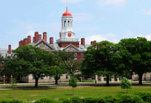 Demandan a Harvard por profesor que acosó y abusó a estudiantes Demandan a Harvard por profesor que acosó y abuso sexual a estudiantes
