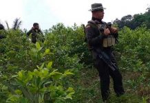 Policía de Colombia irrumpe en pueblo indígena