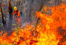 El Salvador declara alerta roja por incremento de incendios forestales El Salvador declara alerta roja por incremento de incendios forestales