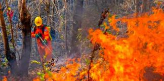 El Salvador declara alerta roja por incremento de incendios forestales