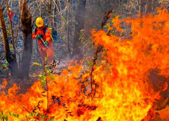 alerta-roja-incendio- El Salvador declara alerta roja por incremento de incendios forestales