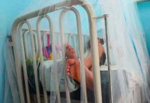 Hospitalizaciones por dengue suben en El Salvador Hospitalizaciones por dengue suben en El Salvador