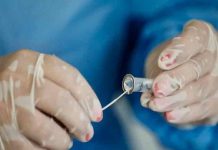 Argentina confirma el primer caso de la variante ómicron sub-linaje BA.2 Argentina detecta sublinaje de la variante Ómicron