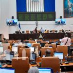 Sesión parlamentaria en la Asamblea Nacional