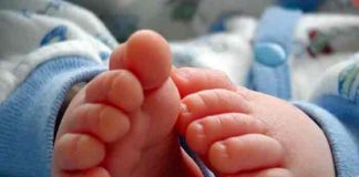 Bebé es abandonado en una caja de cartón en Bolivia