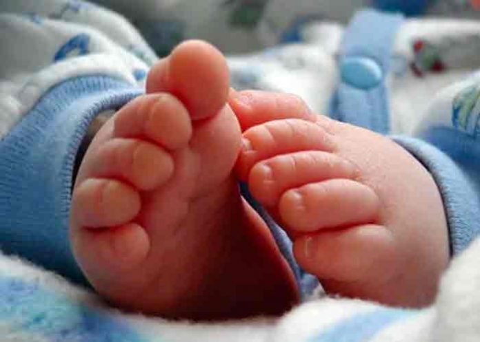 bebe-portada- Bebé es abandonado en una caja de cartón en Bolivia