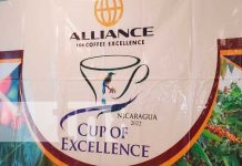 Organización de catación de café en Nicaragua